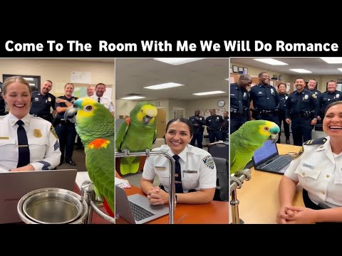 🦜 Officer Miller You're Beautiful | Come To The Room With Me We Will Do Romance 😂 | Funny Parrot 🦜