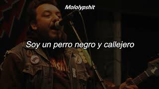 Perro Negro Granjero - Molotov - lyrics