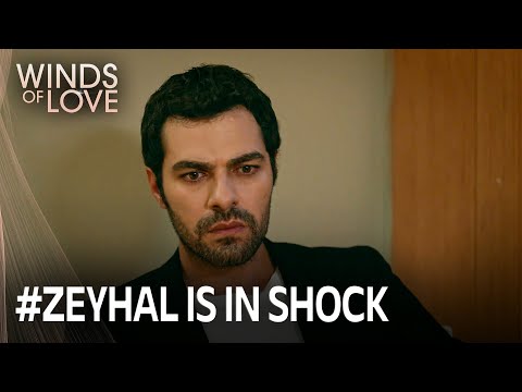 Halil ve Zeynep şimdi ne yapacak? | Rüzgarlı Tepe 148.Bölüm