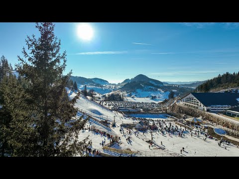 FUNDATA MOECIU - ROMANIAN MOUNTAINS