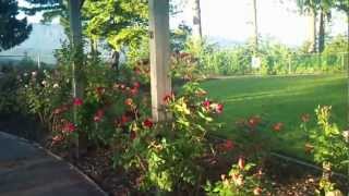 preview picture of video 'Burnaby Mountain Park, British Columbia, Canada'