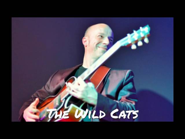 The Wild Cats
