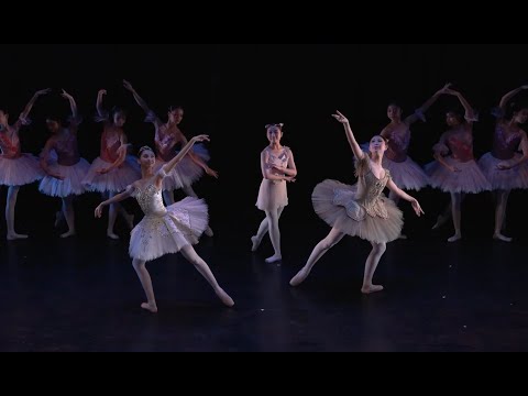 Dream scene from act 2 'Don Quixote'