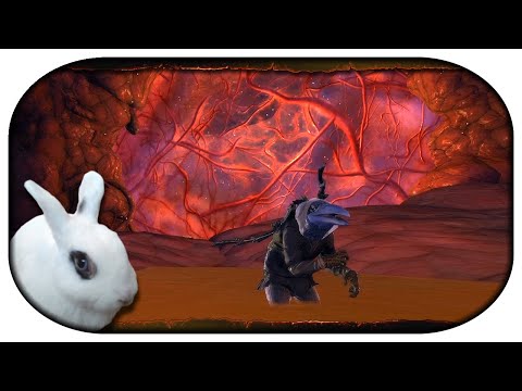 NEVERWINTER: Paladin-LP 🐇 216 - Neverwinter Containment Breach