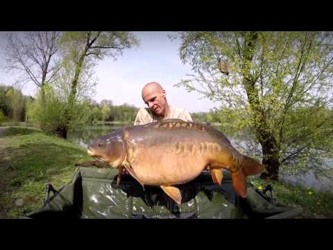 Big carp fishing with Zsolt Bundik in Europe (Spring)