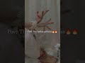 Indian princess🇮🇳👑😩 #music #bollywoodsongs #song #aestehtic #fypシ゚viral #india #princess