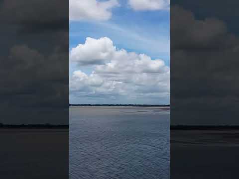 #Nirob #short #foryou