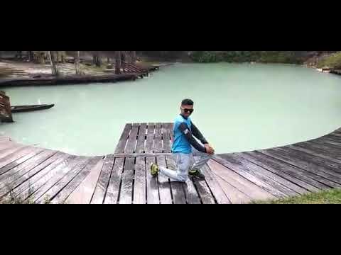 Bicho Fuleiro (Companhia do Calypso )