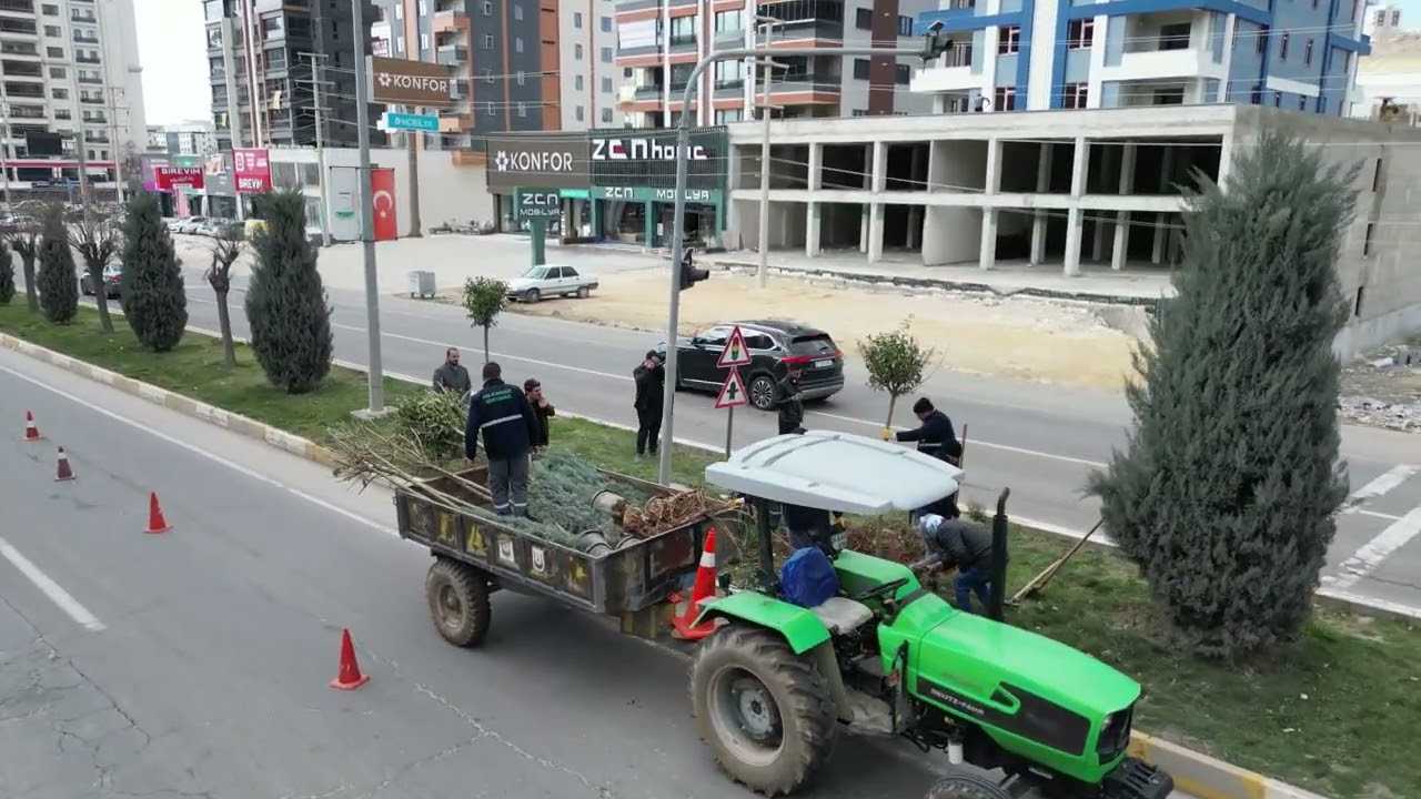 BÜYÜKŞEHİR, AĞAÇ VE BİTKİ DİKİMLERİNİ HIZLANDIRDI