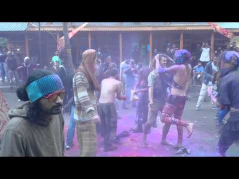 Live@Parvati peaking 2015 holi festival (#ankit#)