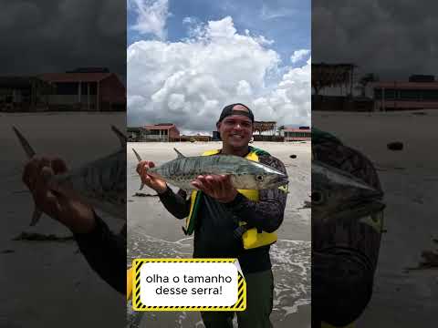 peixe serra pescado hoje na ilha de Itamaracá #pescaria #barcopesqueiro