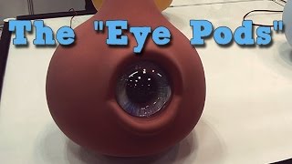 SCP-131 "The "Eye Pods""