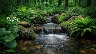 🍂 Emotional Balance Music 🌿 Gentle Sounds to Restore Harmony