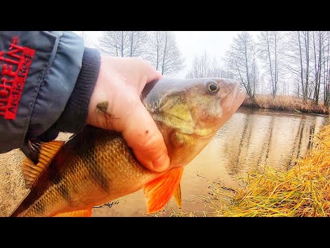 Фото ЛОВЛЯ ОКУНЯ в ДЕКАБРЕ | РЫБАЛКА на МИКРОДЖИГ ЗИМОЙ