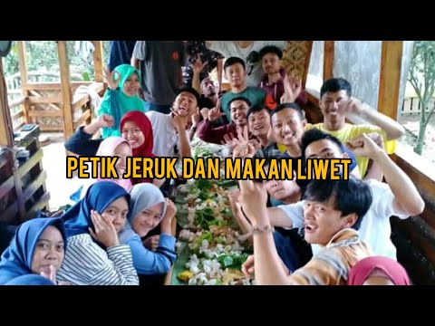 Agrowisata Eptilu Cikajang Garut petik Jeruk Langsung