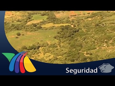 Imperio de "el Chapo" en el Triángulo Dorado | Noticias