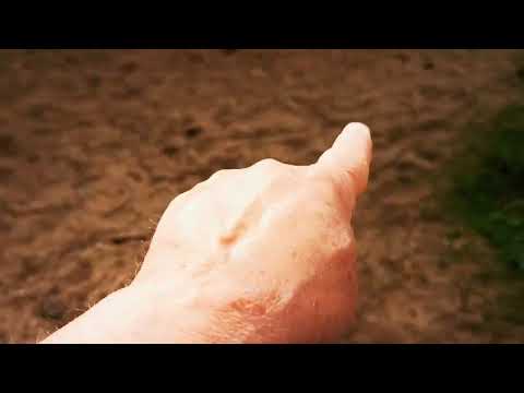 THE WAIK COURTOWN GOREY CO WEXFORD IRELAND