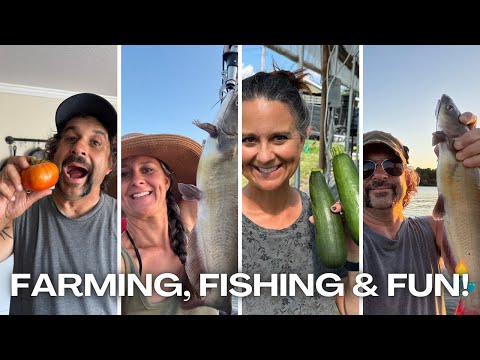Living Traditions Homestead's Best Summer Yet: Bountiful Harvests!