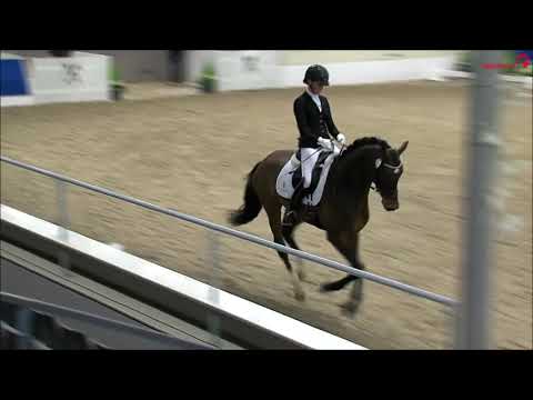 Fusionist - Sportprüfung Verden 2020