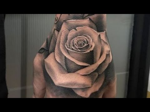 Ando con el ki (audio oficial)