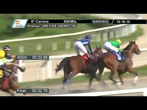 220916 c06 - SOCIAL FLYER (BRZ)  - HIPODROMO LAS PIEDRAS - "REY DE LA RECTA"