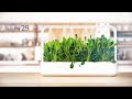 Išmanus namų sodas Click &amp; Grow Smart Garden 9 (Smėlio spalvos) SG9