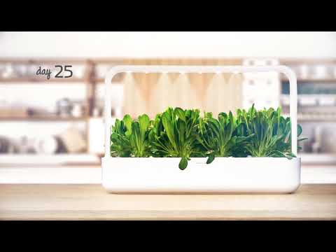 Išmanus namų sodas Click &amp; Grow SG9 Baltas video