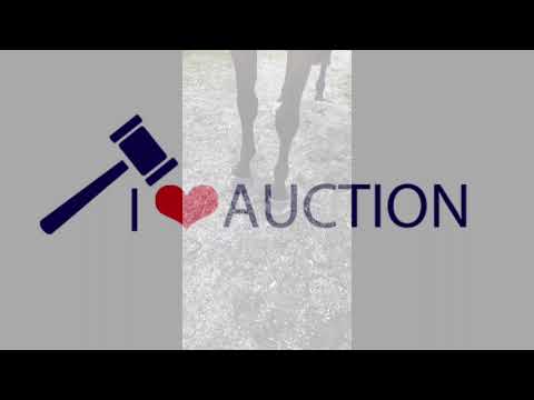 Unistar VR Movements