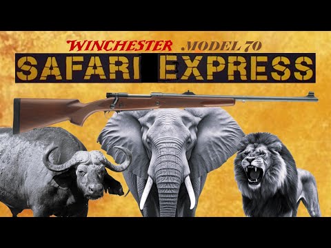 MODEL 70 SAFARI EXPRESS: History and Relevance