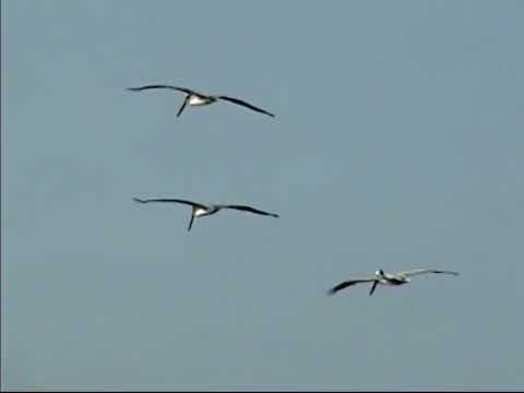 Jay Worthy 'COMPUTER LOVE' Freestyle