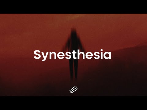 SHEXPIR x Blanku - Your Mind