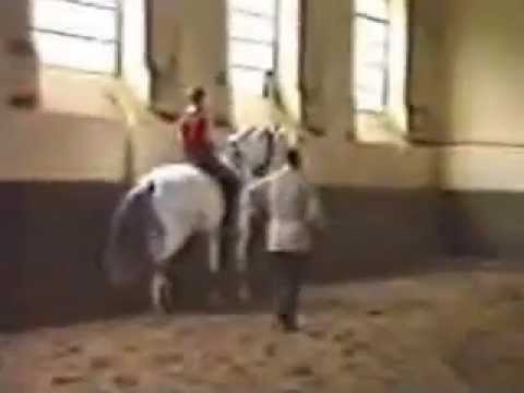 NeindorffChampus PiaffePassageLernen