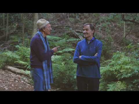 Episode 3 (Series 2) : The Healing Phenomenon.