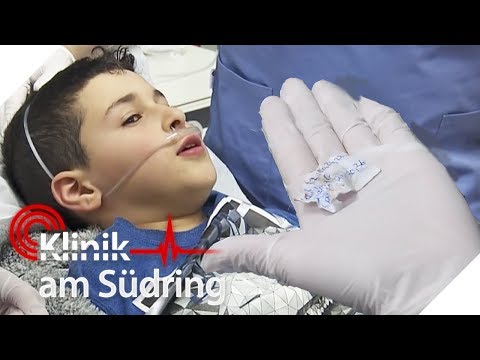 Propolis-Tinktur Anwendung Prostatitis Behandlung von Prostatitis in einer Sitzung Novosibirsk Klinik