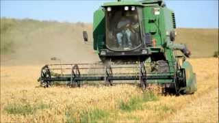Wheat harvest Natanael Suceava 2012