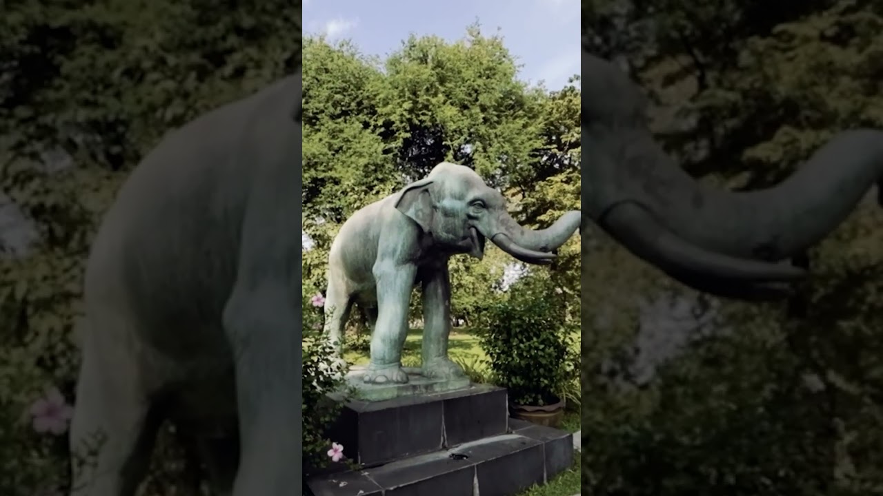 YouTube Short thumbnail