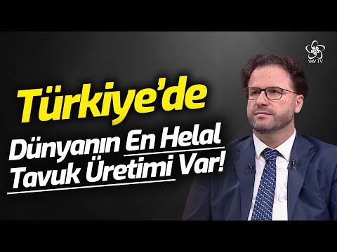 Prof. Dr. Murat Şimşek: Türkiye'de Dünyanın En Helal Tavuk Üretimi Var! | Son Davet VAV TV