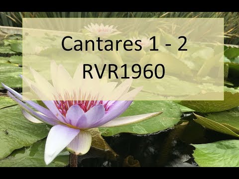La Biblia en un año/Cantares 1 - 2 (Audio, Letra) Día 277