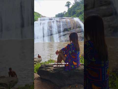 Primavera PE - Um tesouro na mata sul