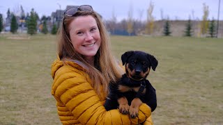 5 Truths Every Dog Guardian Needs to Hear