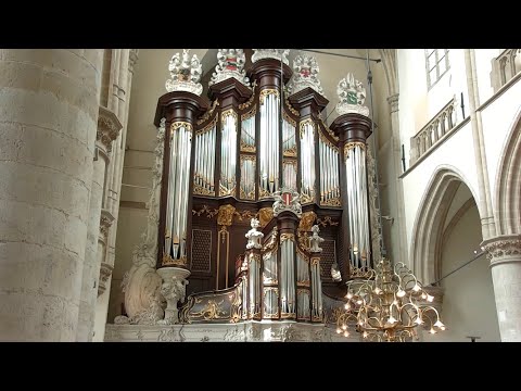 Psalm 138 vers 4 (Grote Kerk Dordrecht, samenzang tijdens kerkdienst)