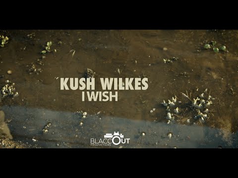 Kush Wilkes - I Wish