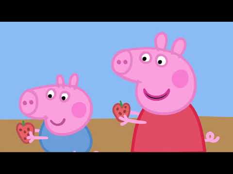 Peppa Pig po Polsku najlepsze odcinki - Całe Odcinki 5 - Świnka Peppa