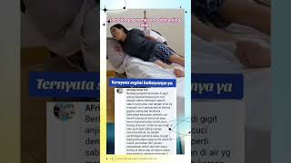 Download lagu pertolongan pertama kena gigit anjing rabies mp3