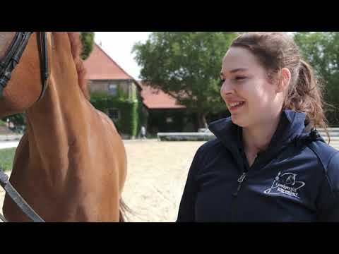 Beruf Pferdewirt - Klassische Reitausbildung