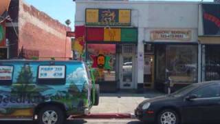 Soldiers Of Jah Army - Losing My Mind