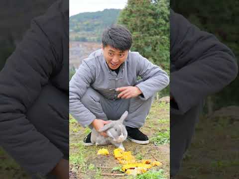 It turns out Er Mao snatched the oranges to feed the animal❤️