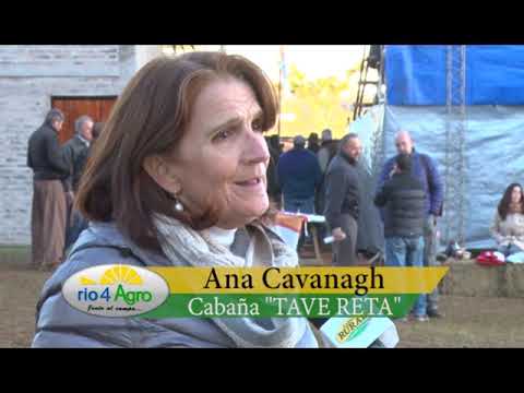 PROGRAMA RIO4AGRO 11 07 BLOQUE 2