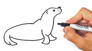 How to draw a Seal Step by Step | Seal Drawing Lesson