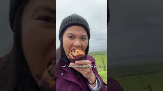 Afternoon Tea in a Manor: Day 6 Ireland ☘️